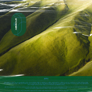 啤酒瓶塞b里视频
