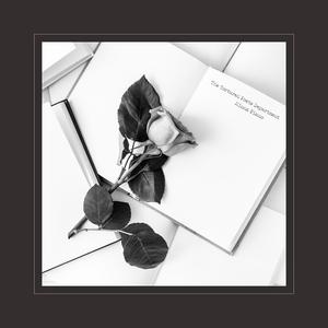 啤酒瓶塞b里视频
